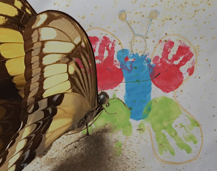 Kreatives Gestalten: "Schmetterling aus Hand und Fuss"